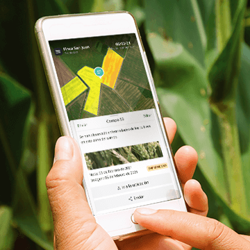 Cropwise Imagery | Syngenta Digital | Agricultura Digital | Compartí novedades importantes